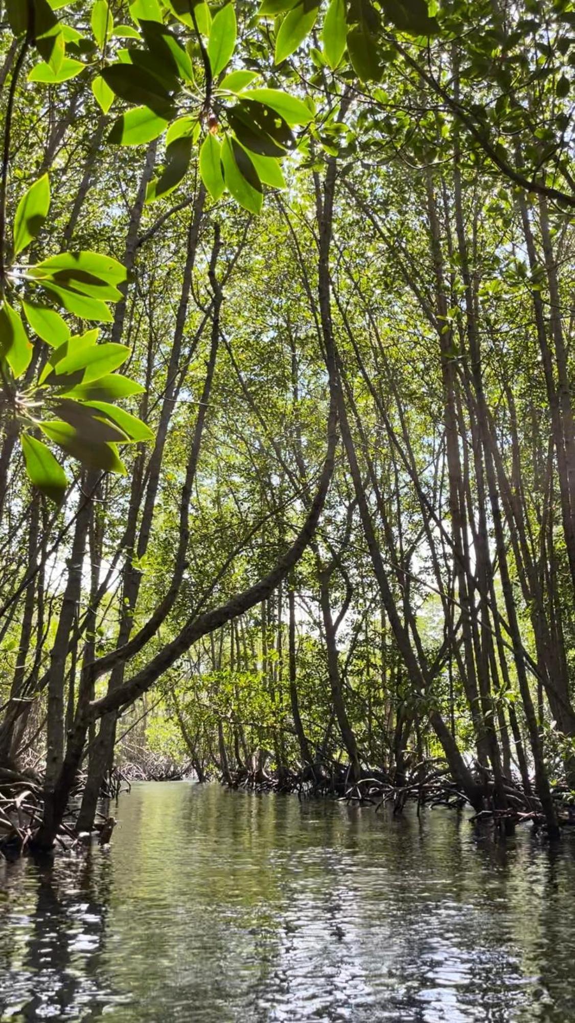 Mangrove Beach Hut Lembongan Esterno foto